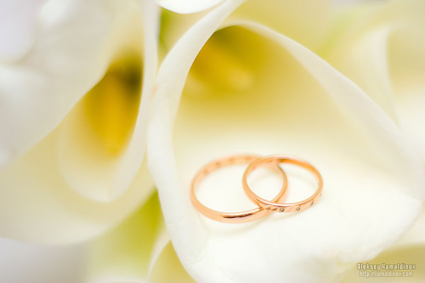 Алексей Камалдинов |  Персональное
.  7
.  👤.  Фото
.  8
.  📸.  Люди
.  
.  🧑‍🤝‍🧑.  Свадьба
.  
.  💍.  2009.  06/06 Алексей и Дарья. 