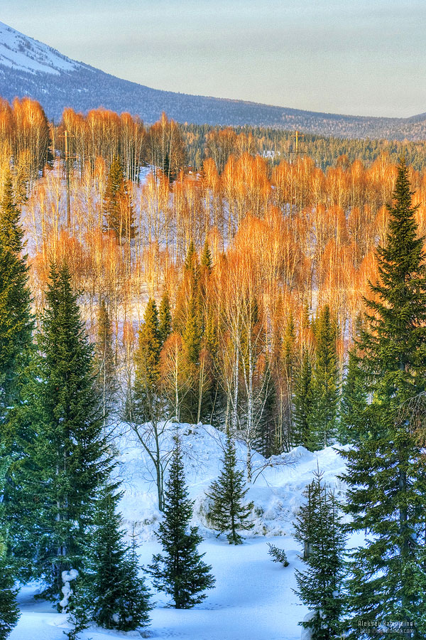 2) Персональное
 . Фото
 . Не люди
 . Природа .  (большой размер)